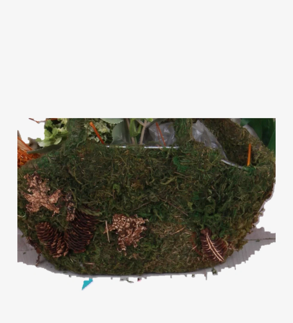 Vicco 950.E25Y.241 Pudra Yaomi Rahat Yumuşak İlk Adım Ayakkabı model görseli