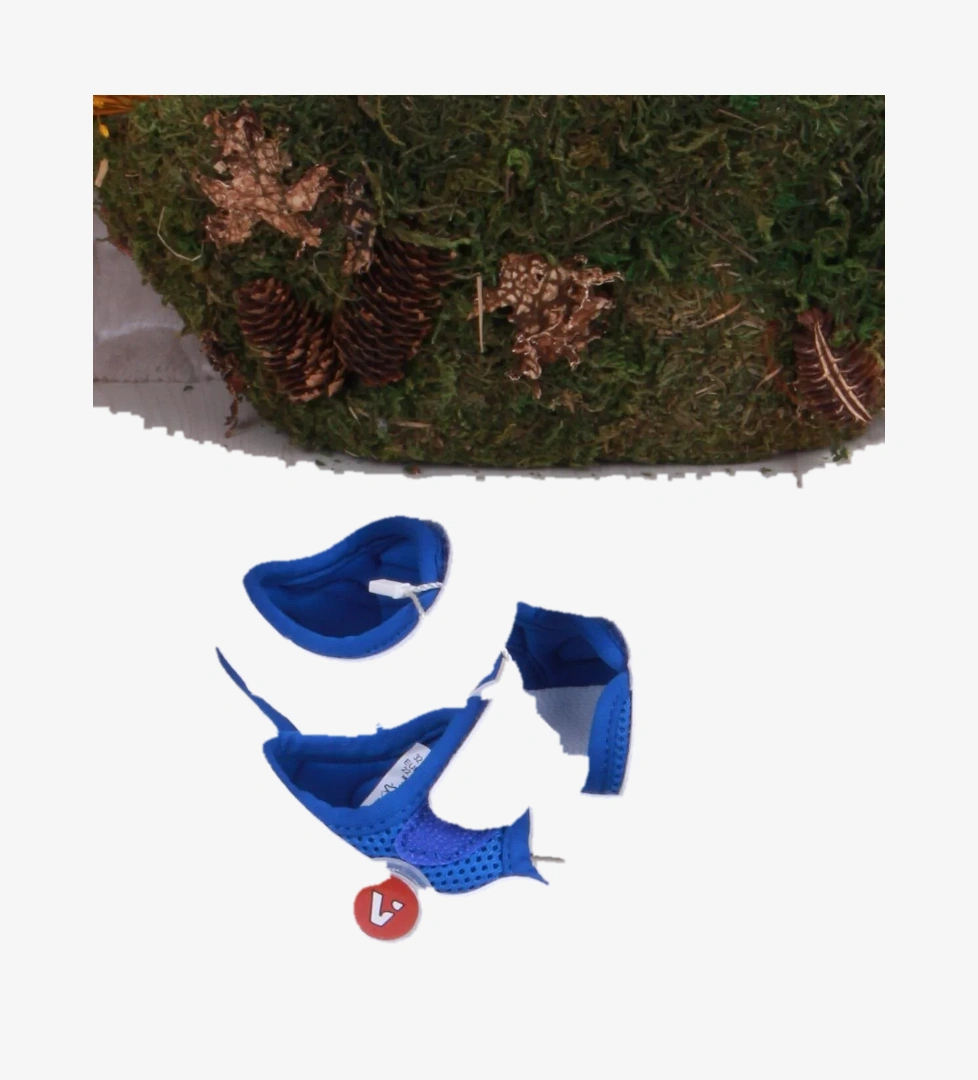 321.E24Y.210 Mocha Saks Mavi İlk Adım Erkek Çocuk Sandalet - Görsel 1