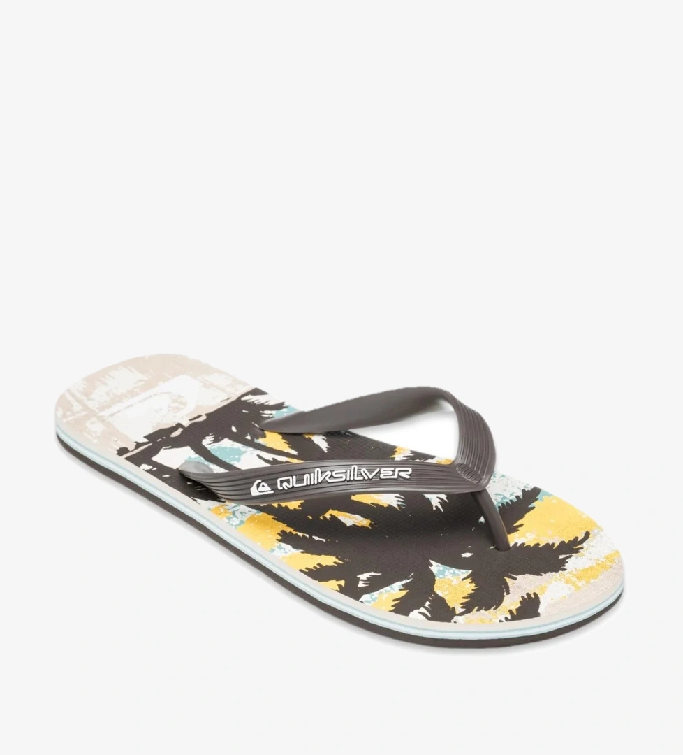 Quiksilver Aqyl101430 Molokai Art 25 Erkek Terlik model görseli