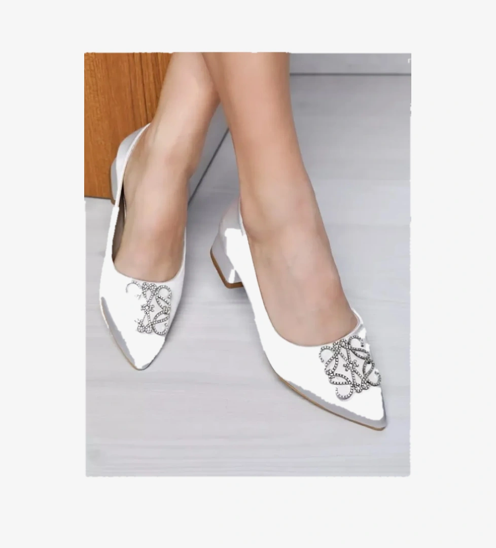 Feles Taş Toka Detaylı Kadın Klasik Ayakkabı model görseli