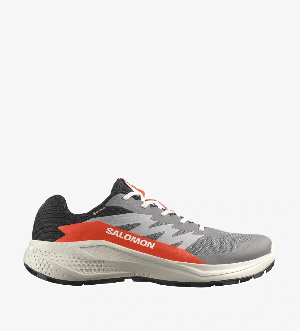 Salomon Gri Salomon Alphaglide Gore Gore-tex