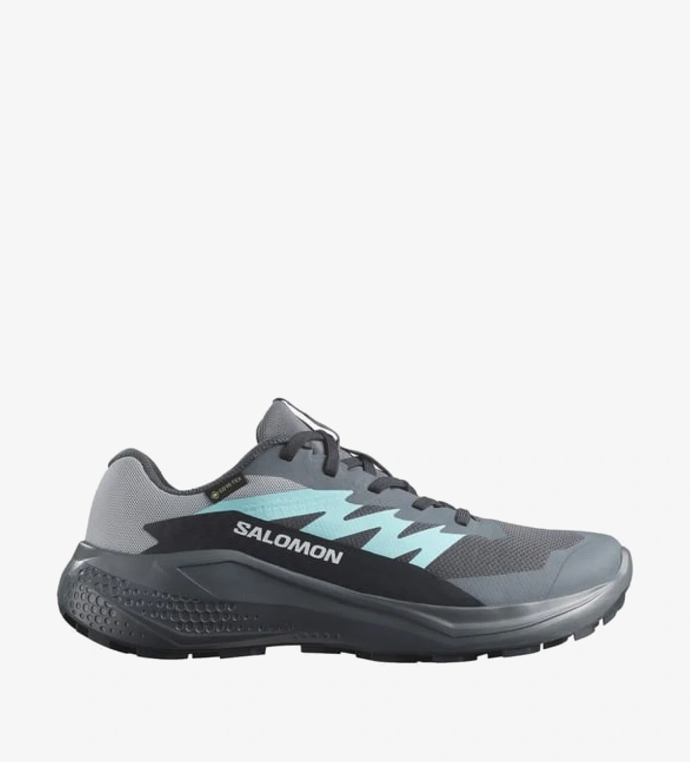 Alphaglide Gore-Tex Kadın Koşu Ayakkabısı L47802500