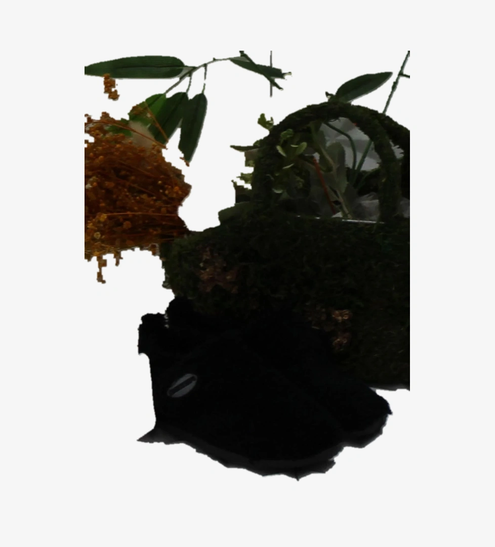 Fort Gzr 03421 Siyah Anaokulu Kreş Ev Erkek Çocuk Panduf Ayakkabı model görseli