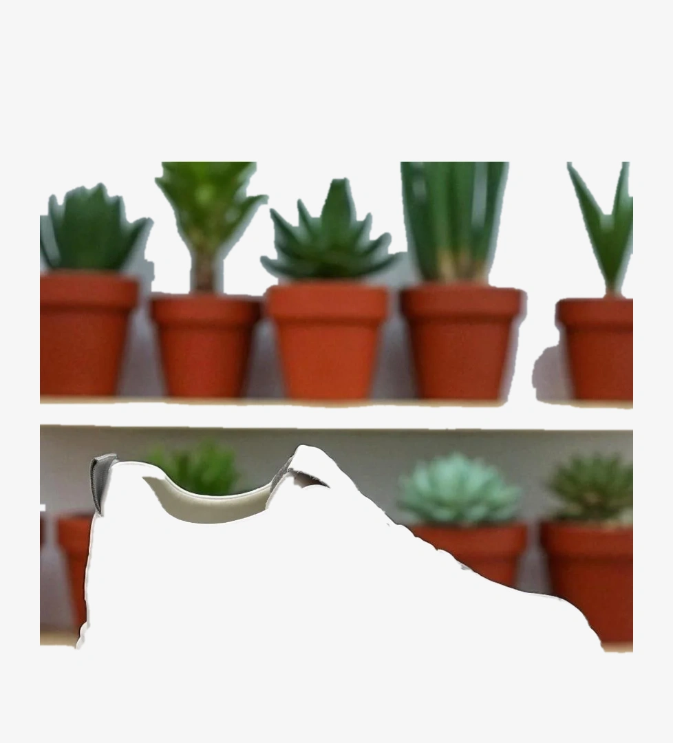 Full Ortopedik Taban Günlük Kadın Spor Ayakkabı Kalın Taban İçten Dolgu Taban 25K314 - Görsel 1