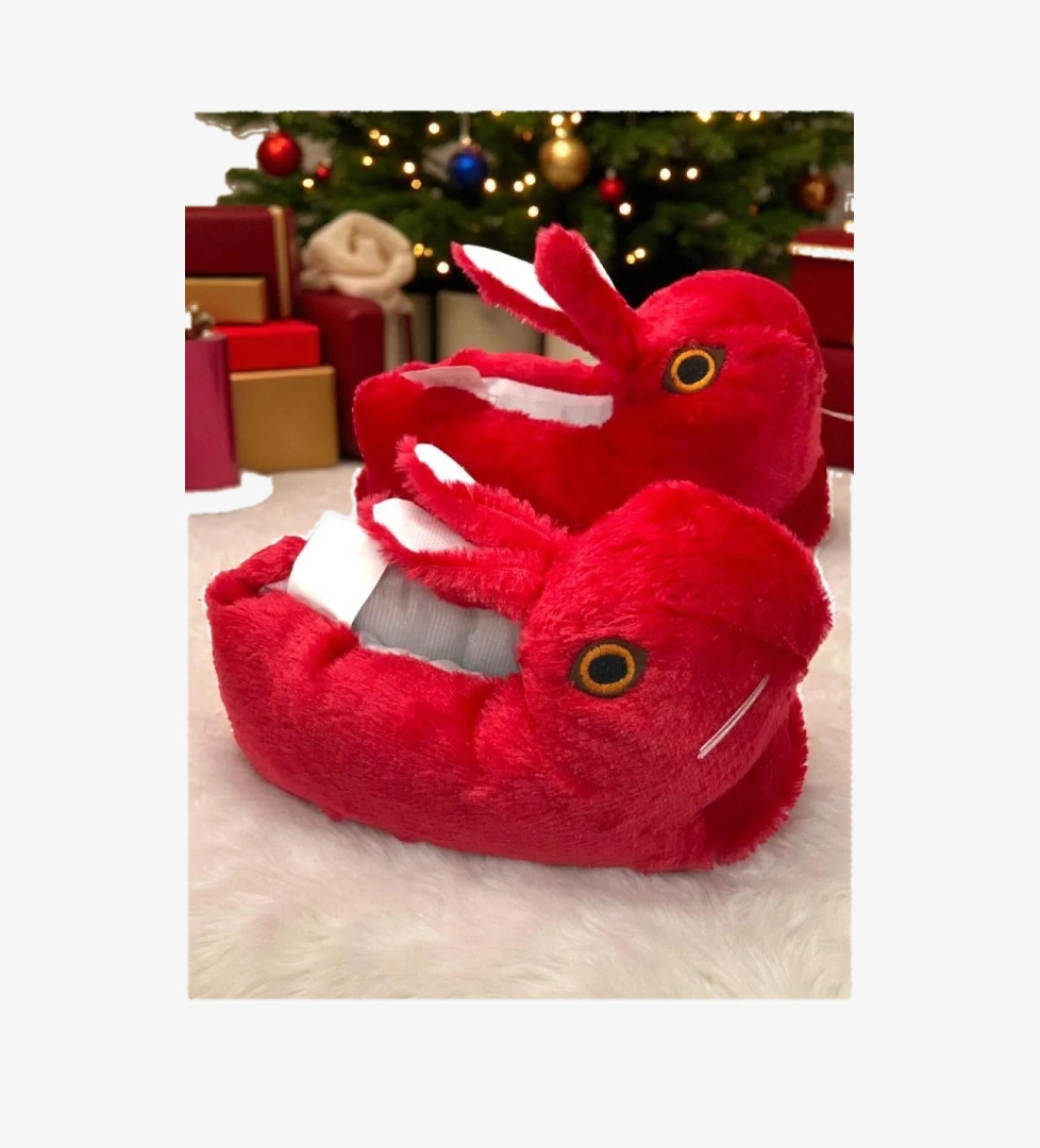 Kadın Kız Çocuk Kombin Hayvanlı Tavşanlı Panduf Ev Botu - Görsel 1