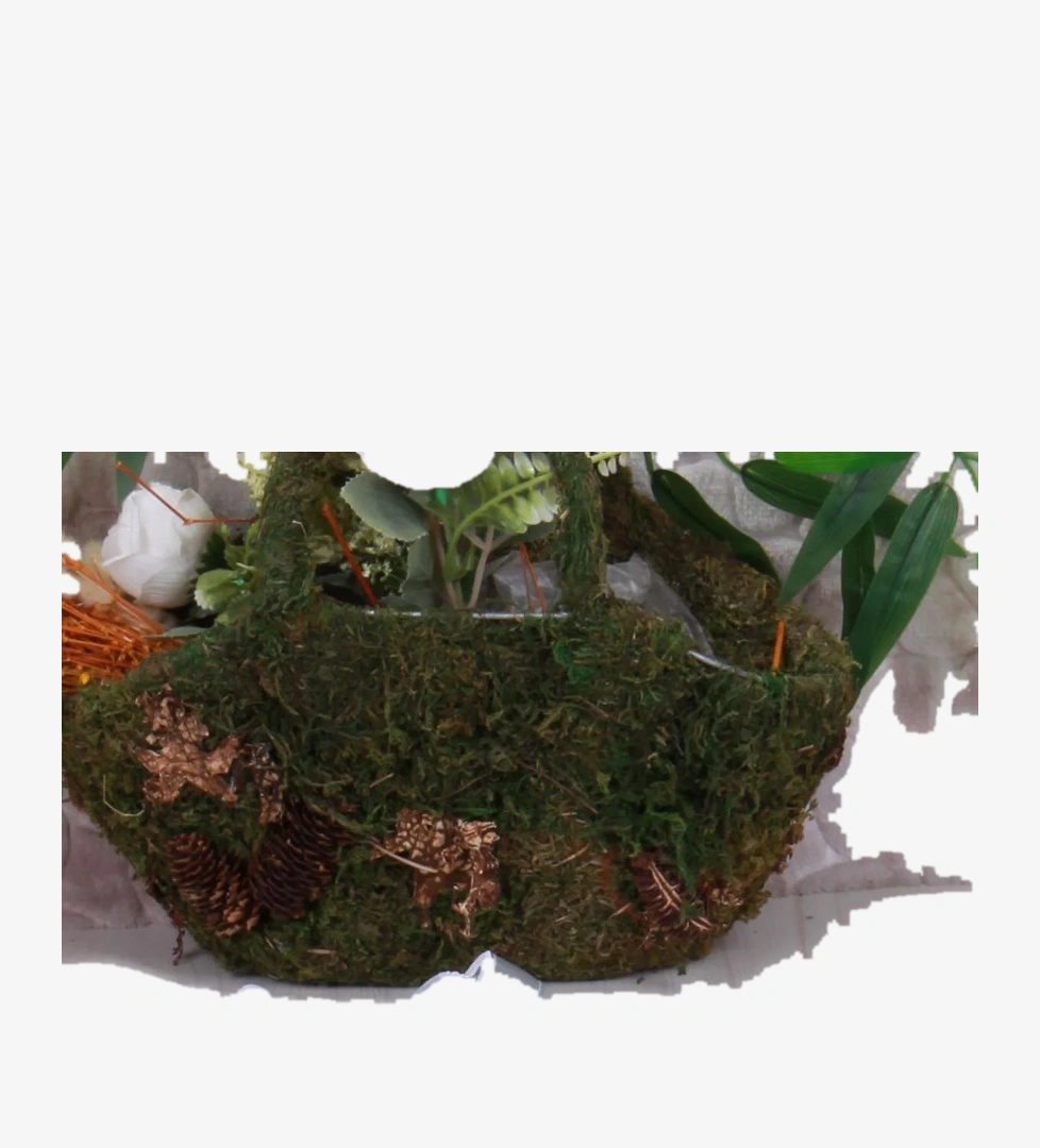 Cool Wella Rahat Sneaker Kız Çocuk Ayakkabı