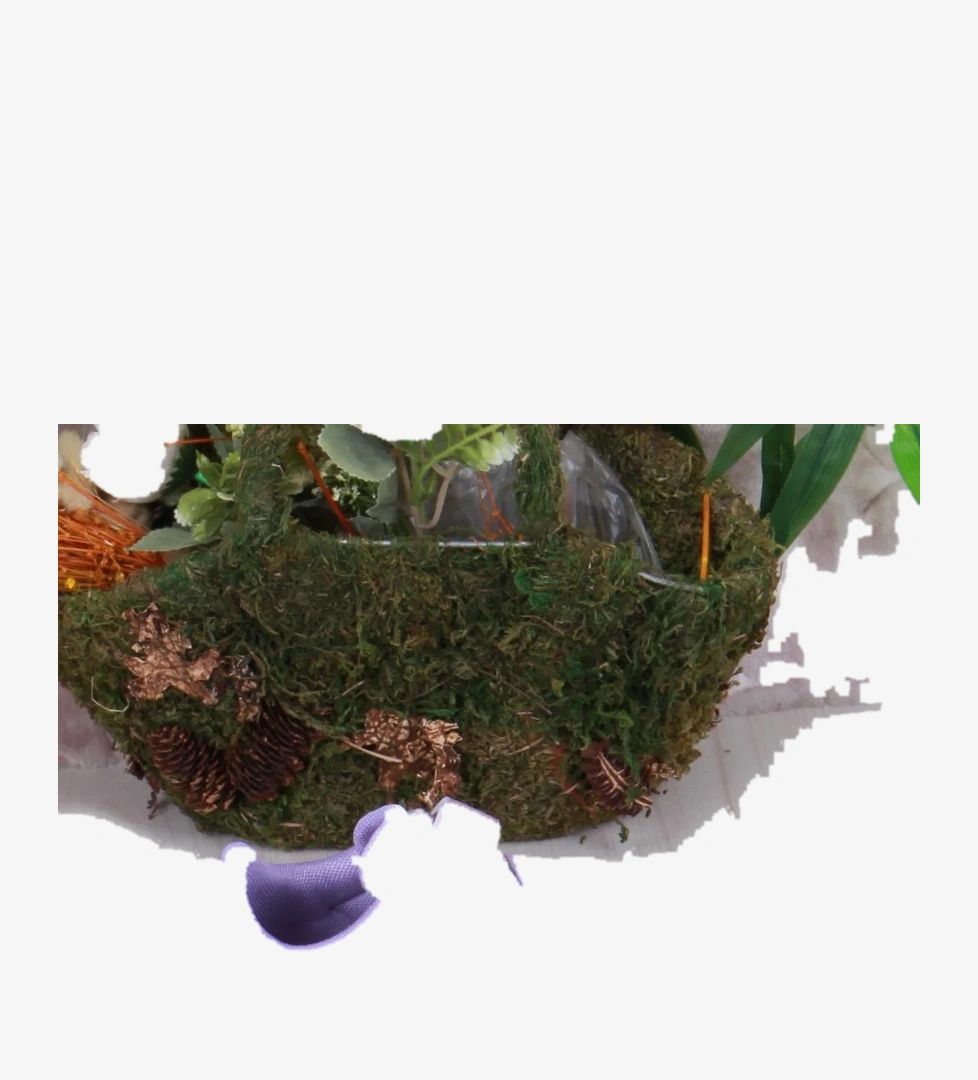 Fort Cool Wella Rahat Sneaker Kız Çocuk Ayakkabı model görseli