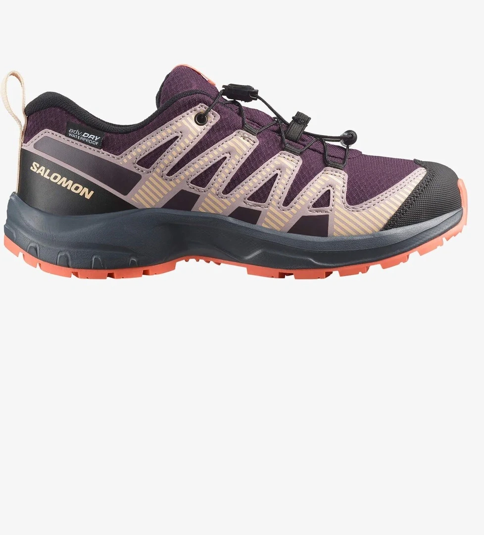 Salomon Xa Pro V8 Waterproof Mor Kadın Outdoor Ayakkabı model görseli