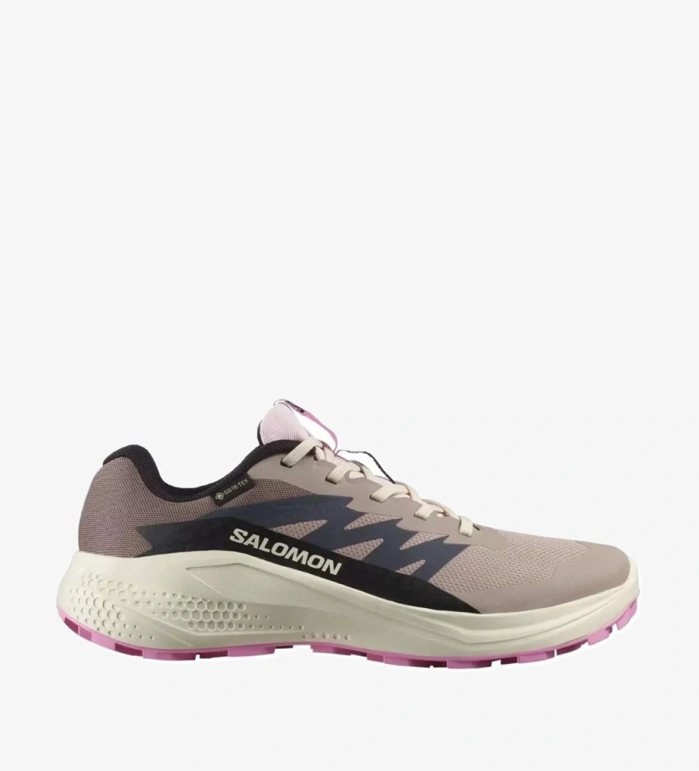 Salomon Alphaglıde Gtx W 478579 model görseli