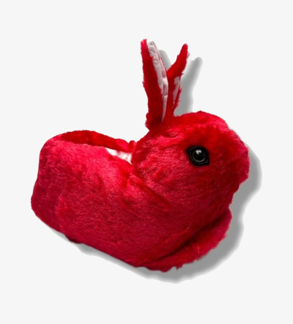 Akinalbella Akınal 571-26 Termal Tavşan Figürlü Panduf 36-40 model görseli