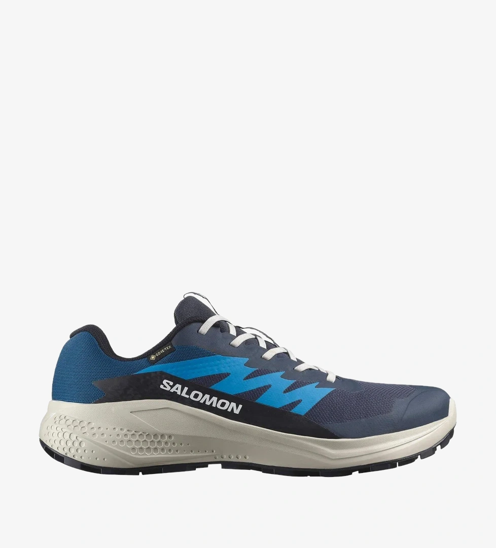 Salomon Mavi Salomon Alphaglide Gore