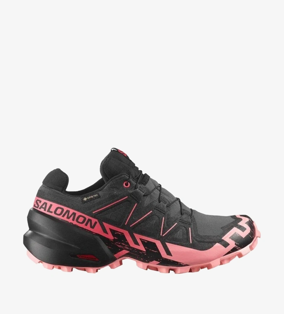 Salomon Siyah Salomon Speedcross 6 GORE-TEX