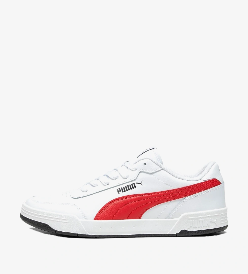 Puma Çok Renkli Puma Caracal