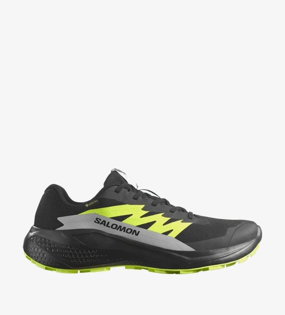 Salomon Siyah Salomon Alphaglide Gore