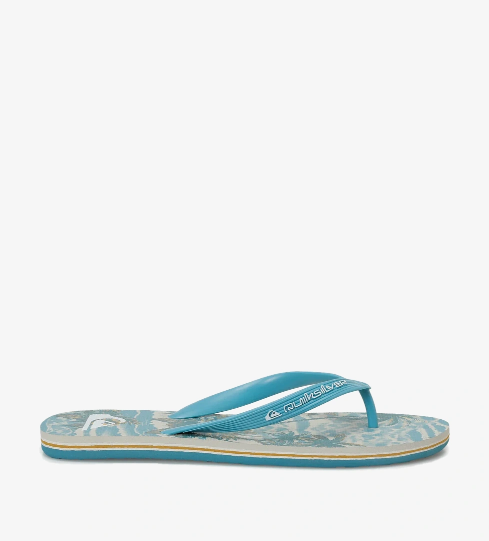 Quiksilver Yeşil Quiksilver Molokai Art