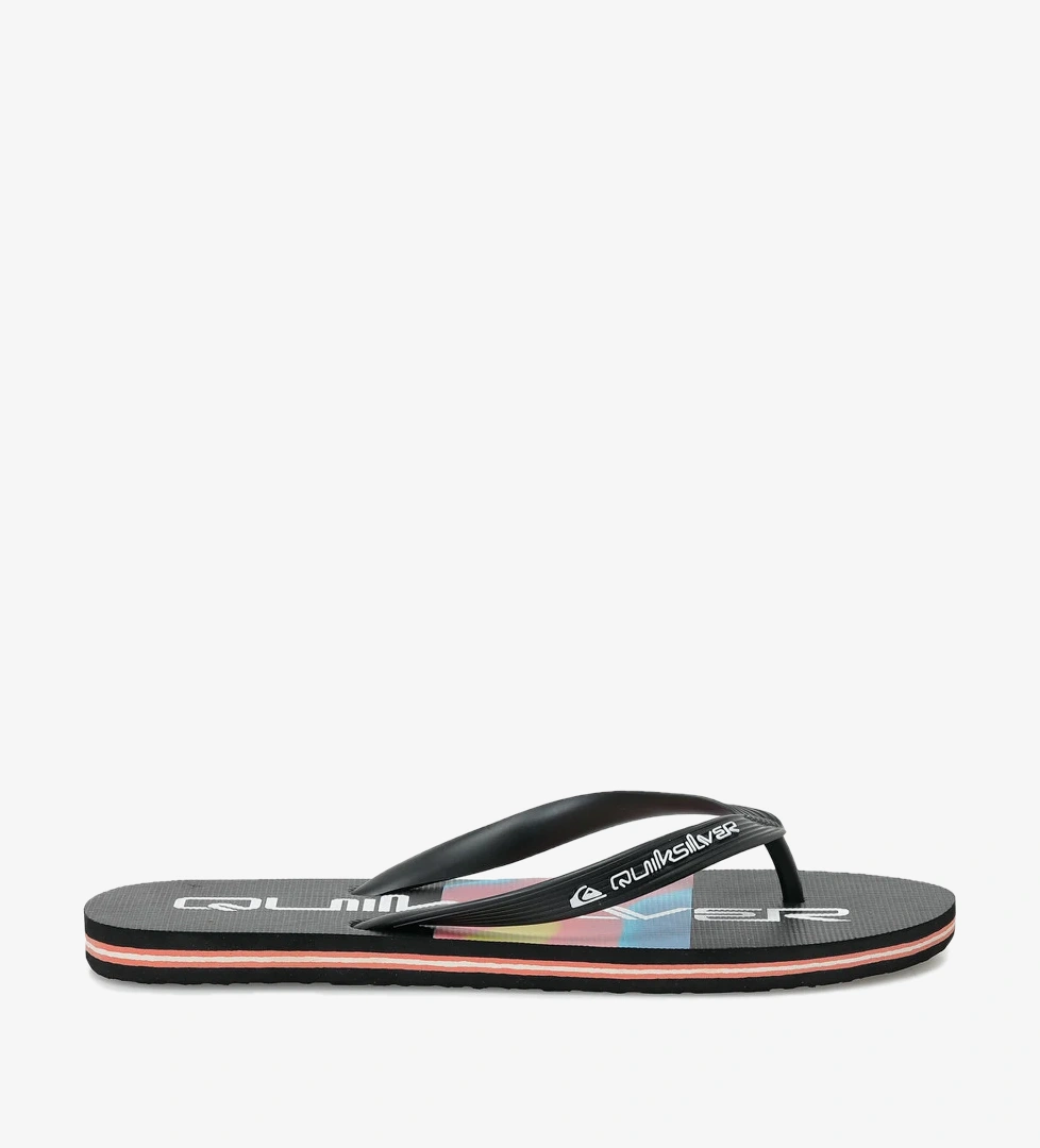 Quiksilver Siyah Quiksilver Molokai Stripe