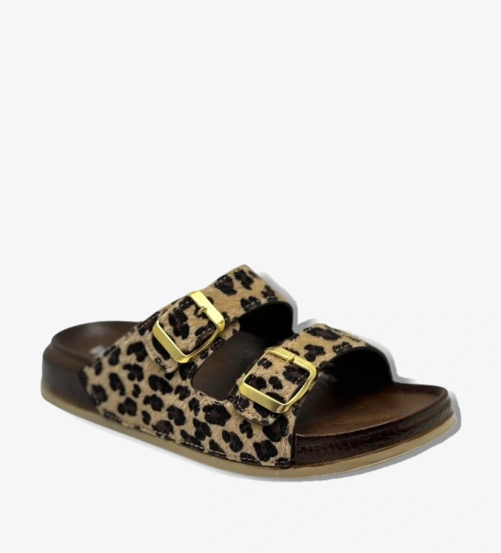 Witta Witta 26 Leopar