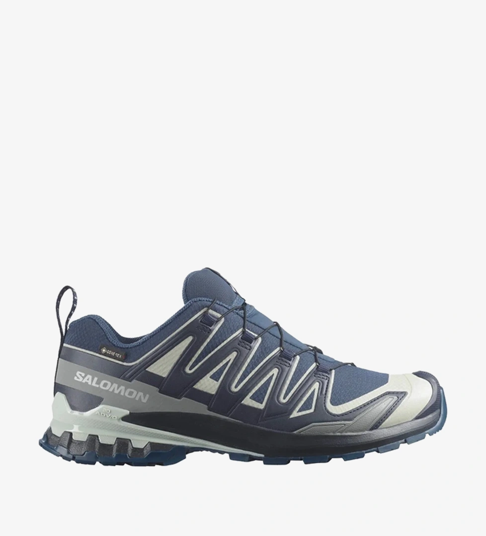 Salomon Xa Pro 3D V9 GTX Erkek Outdoor Ayakkabı