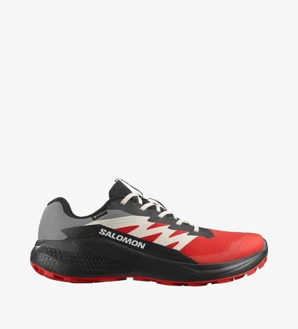 Salomon Salomon Alphaglide Gore