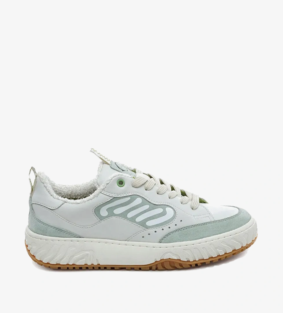 Greyder Mint Greyder Lab