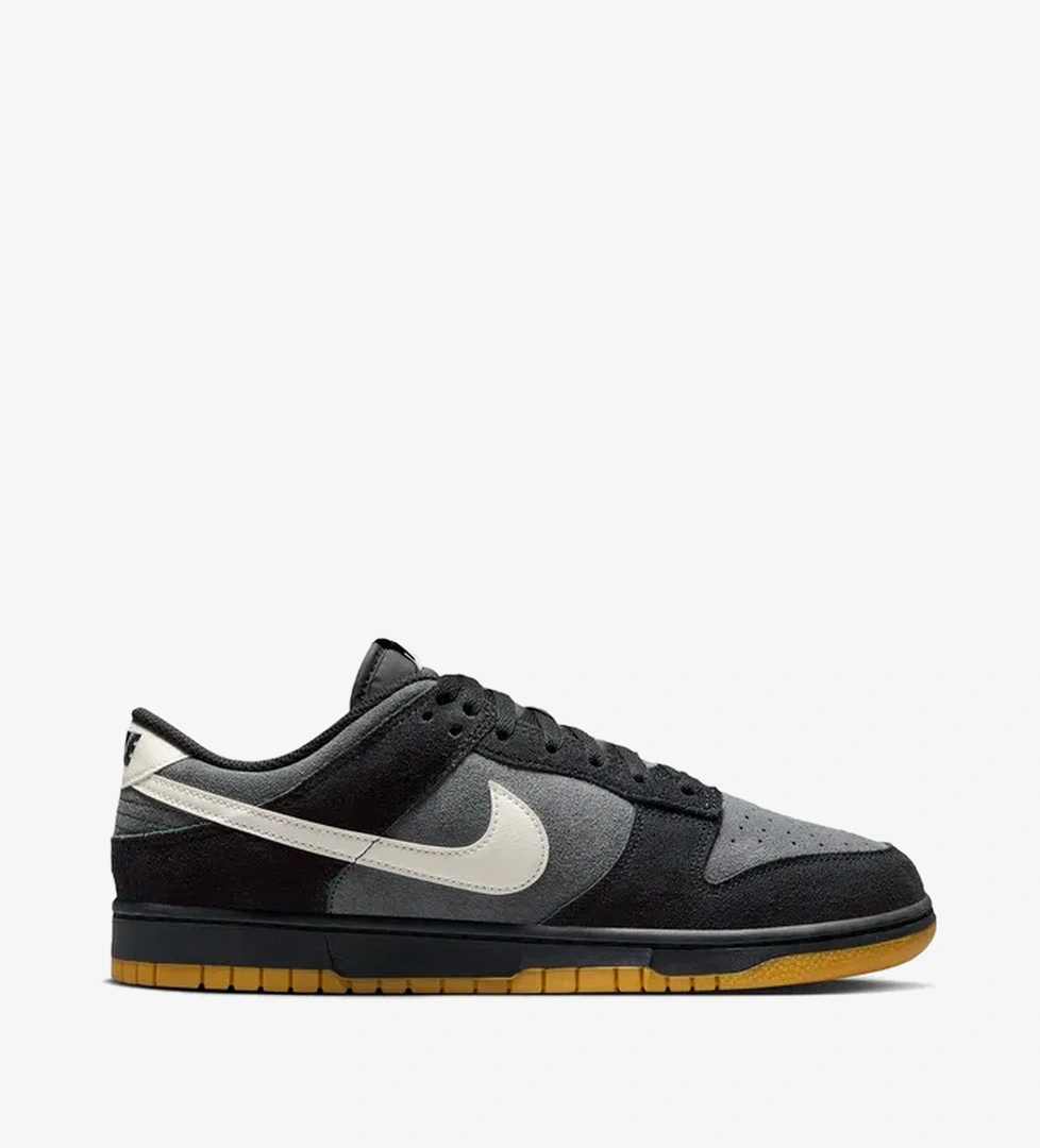 Nike Nike Dunk Low Retro SE Erkek Siyah Sneaker model görseli