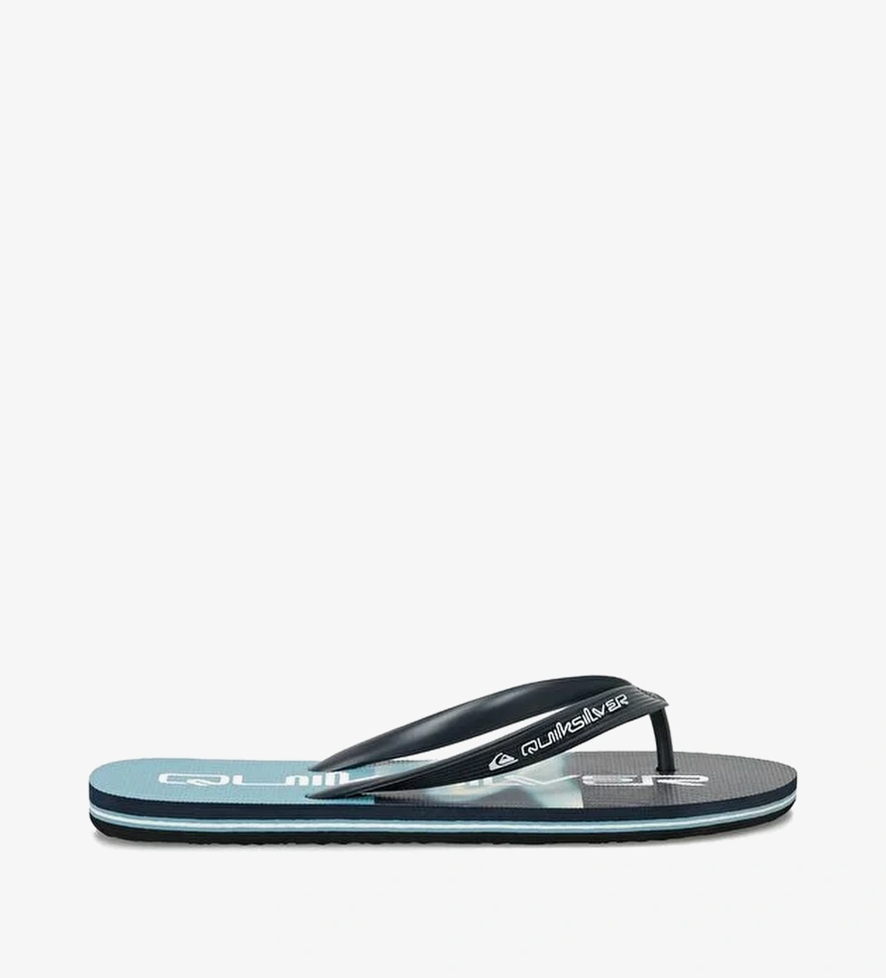 Quiksilver Yeşil Quiksilver Molokai Stripe