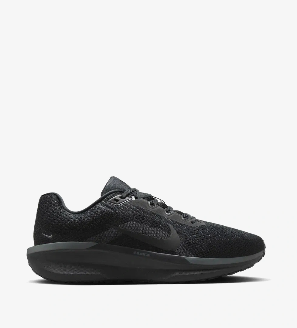 Nike Siyah Nike Air Winflo 11