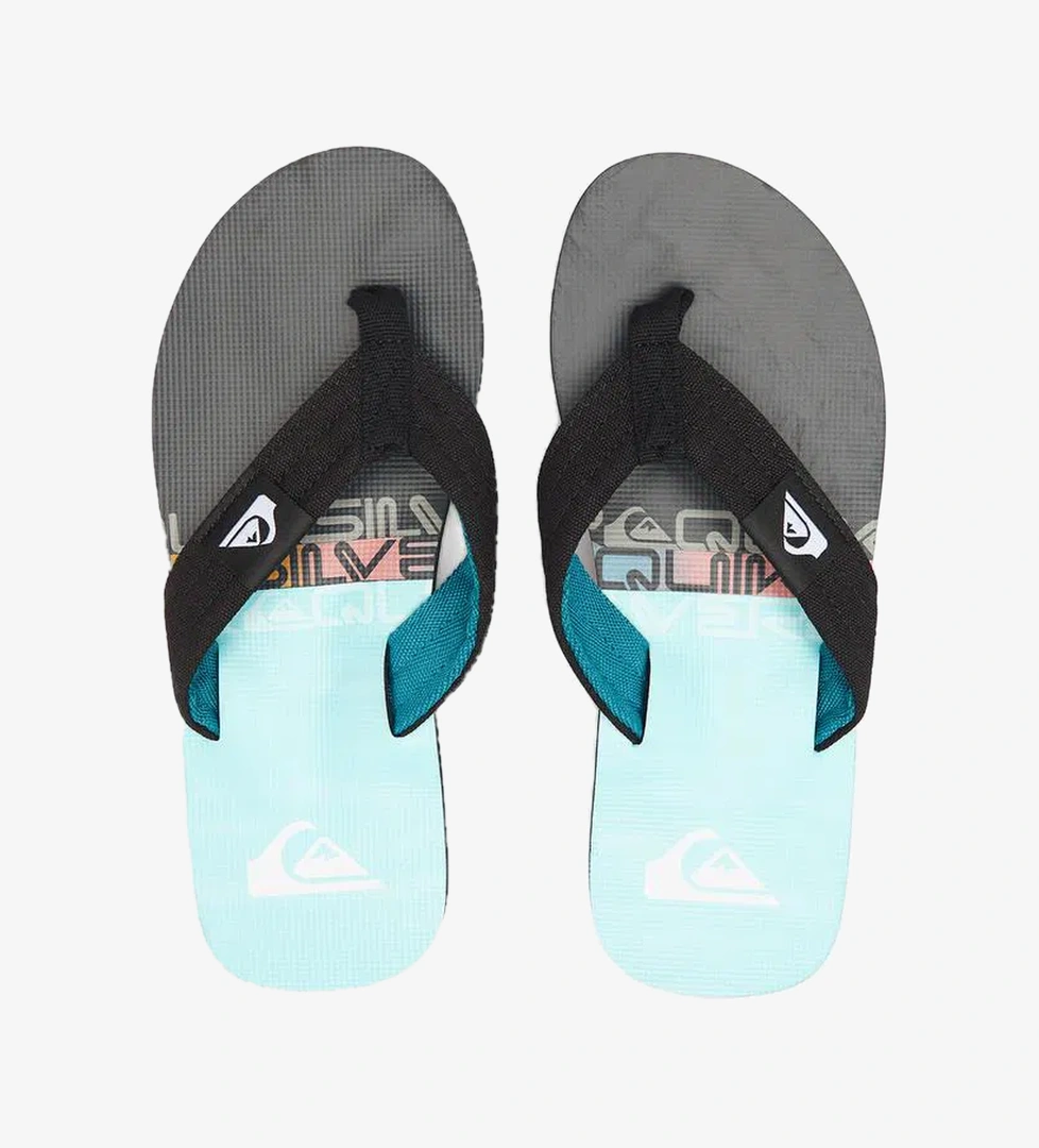 Quiksilver Quiksilver Molokai Layback II Erkek Mavi Terlik model görseli