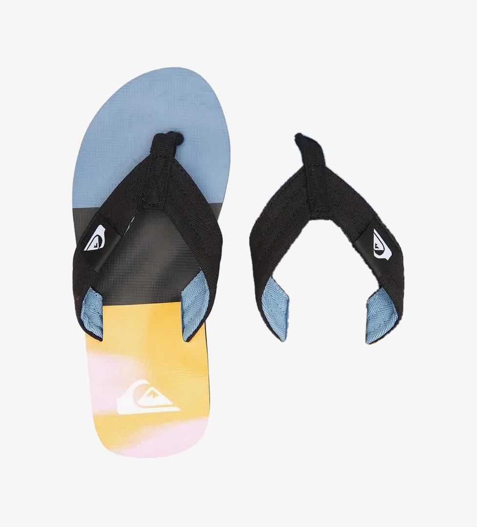 Quiksilver Molokai Layback II Erkek Renkli Terlik - Görsel 1