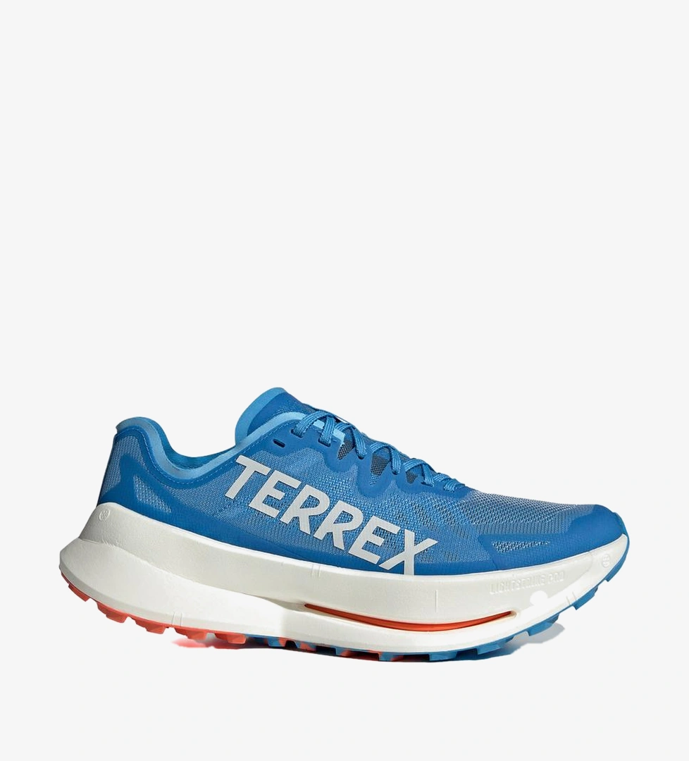 Adidas Mavi Adidas Terrex Agravic