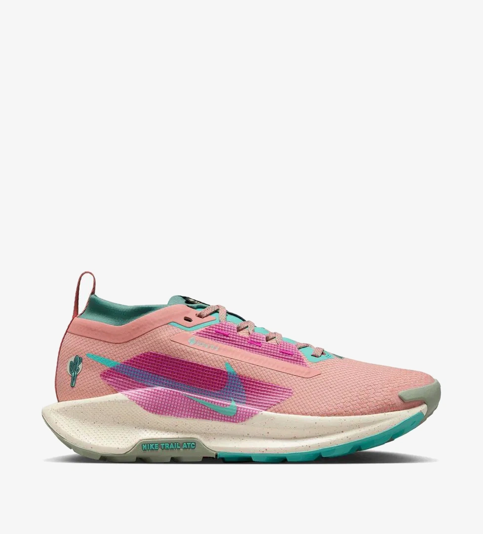 Nike Pegasus 5 Trail Gore Tex Kadın Pembe Koşu Ayakkabısı - Görsel 1