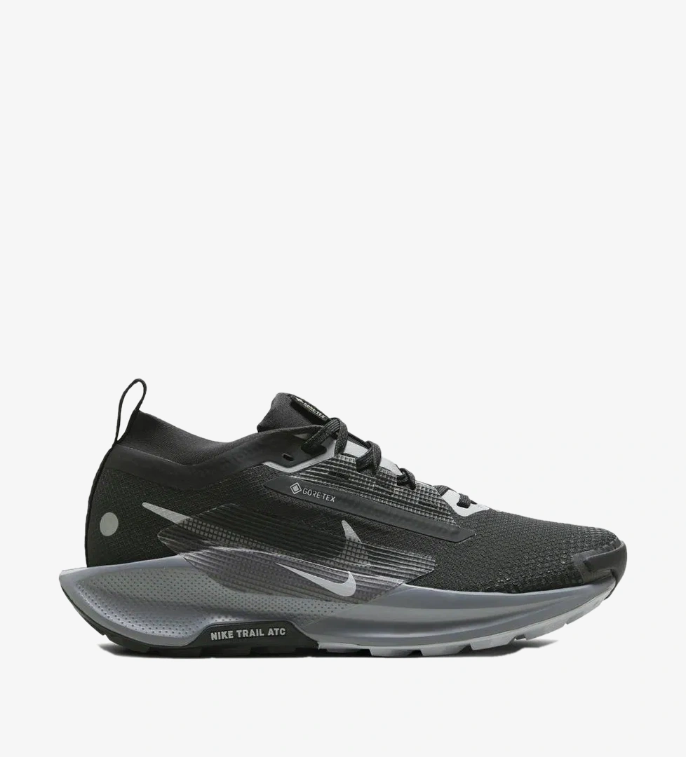 Nike Siyah Nike Pegasus 5