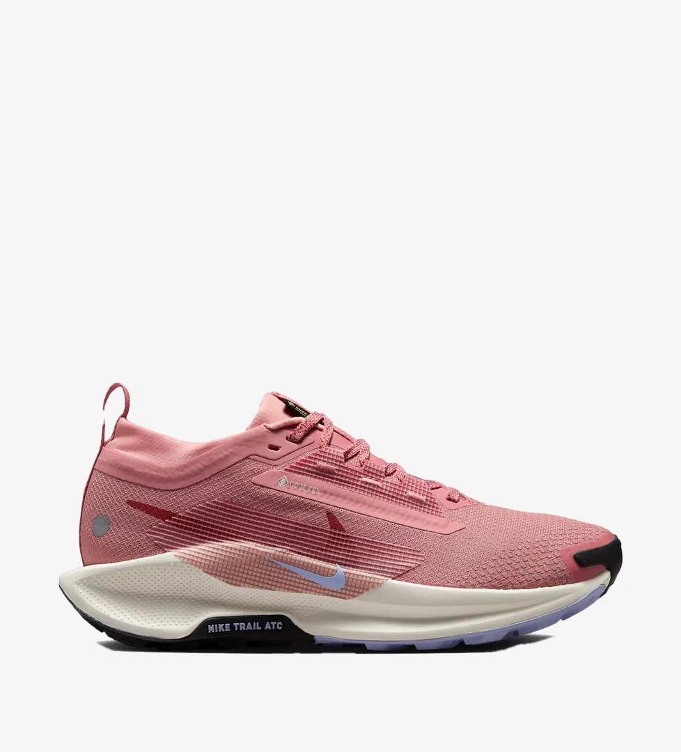 Nike Pembe Nike Pegasus 5