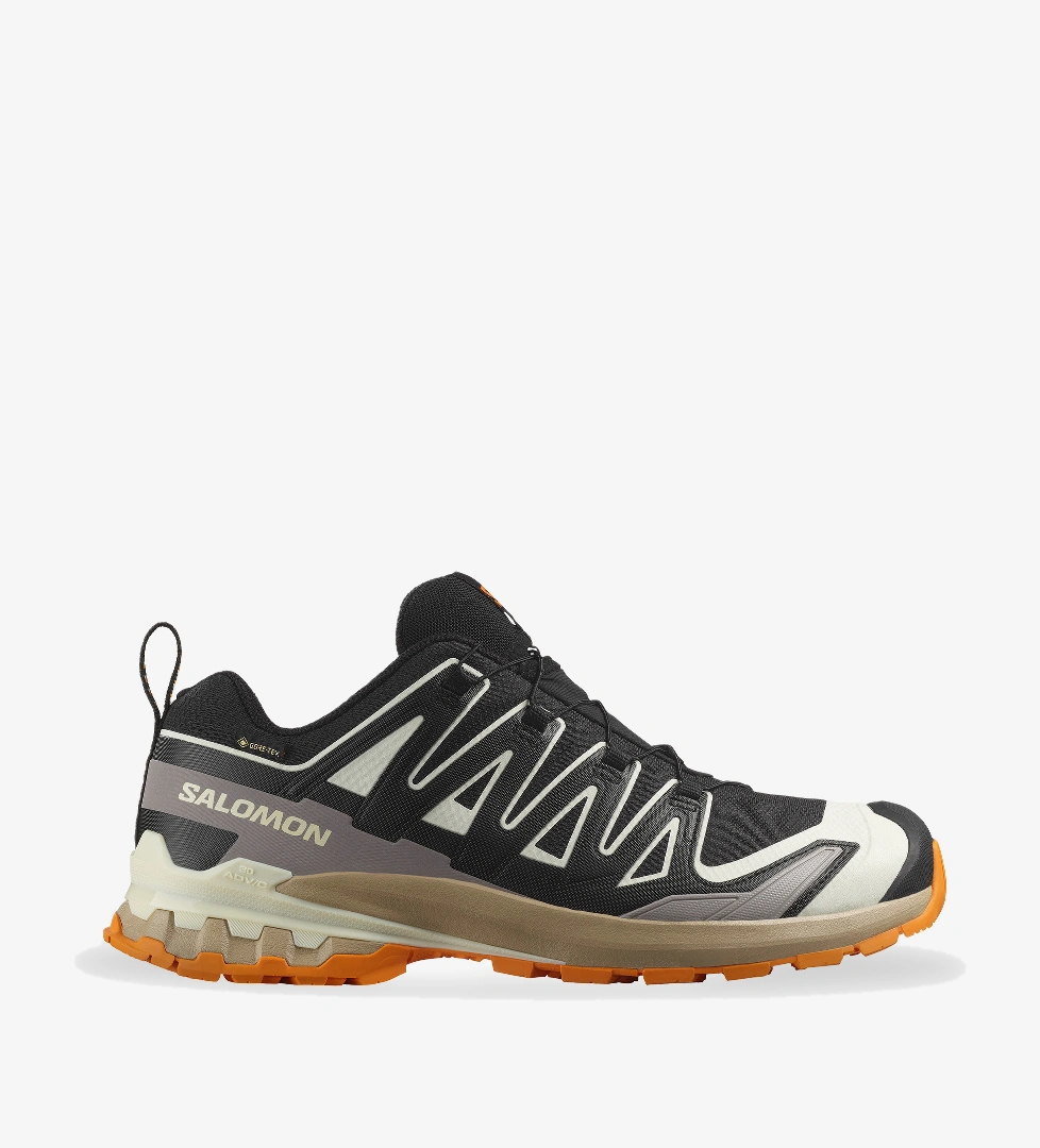 Salomon Xa Pro 3D V9 Gore-Tex Erkek Siyah Outdoor Ayakkabı - Görsel 1