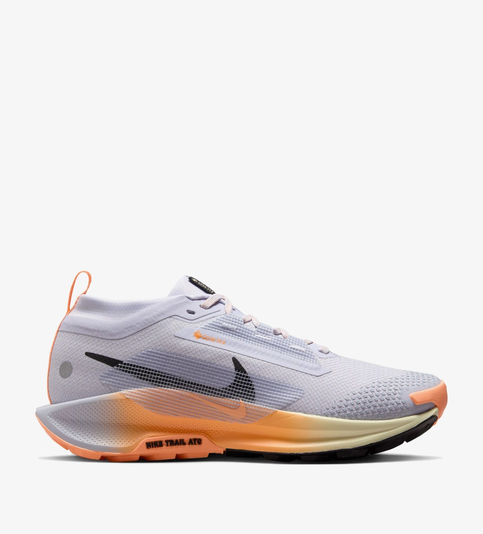 Nike Pegasus Trail 5 Gore-Tex Kadın Gri Koşu Ayakkabısı - Görsel 1