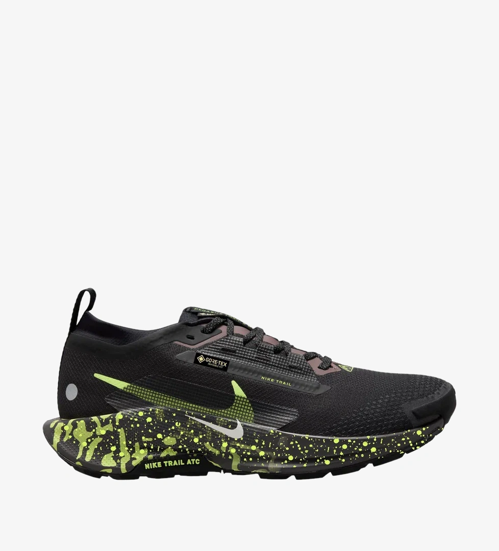 Nike Siyah Nike Pegasus 5