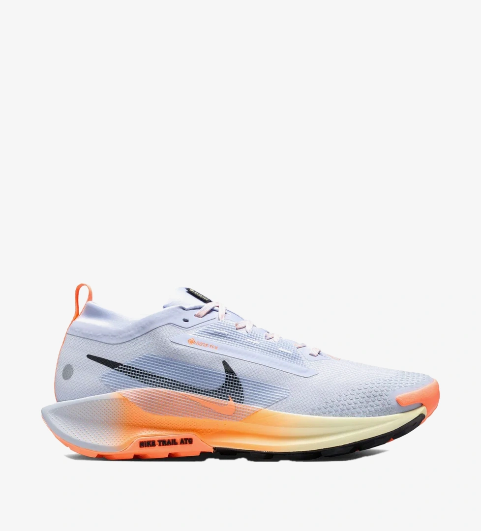 Nike Pegasus Trail 5 Gore-Tex Erkek Mavi Koşu Ayakkabısı