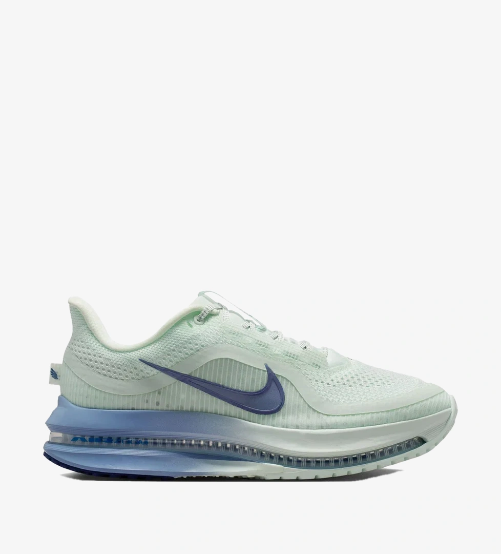 Gri Nike Pegasus