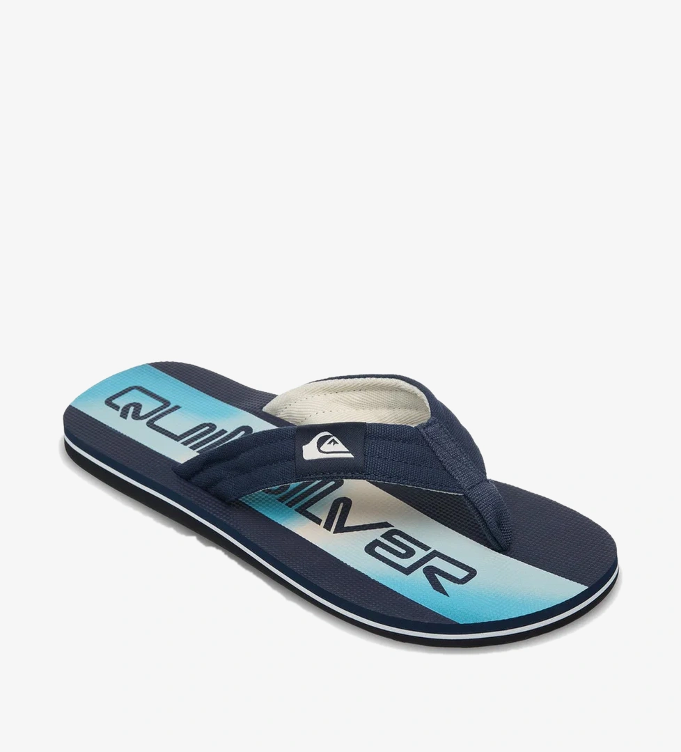 Quiksilver Quiksilver Molokai Layback Erkek Siyah Terlik Intersport'ta! Siyah - 1. görsel