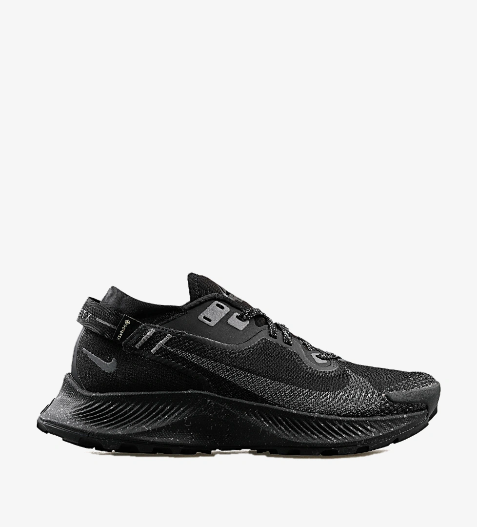 Nike W Pegasus Trail 2 Gtx Ürün Listesi