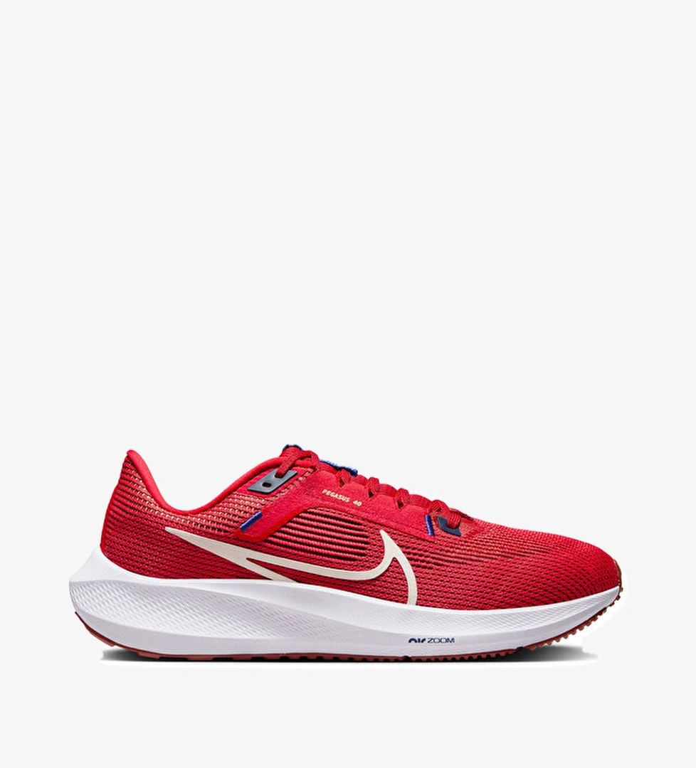 Nike Koşu Ayakkabısı Pegasus 40 - Görsel 1