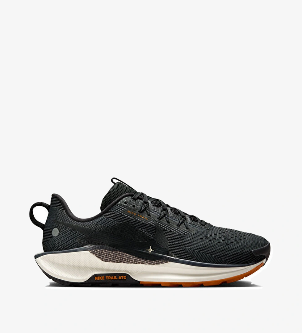 Nike Nike Koşu Ayakkabısı REACTX PEGASUS TRAIL 5 model görseli