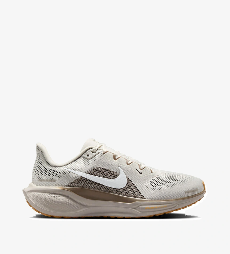 Nike Nike Koşu Ayakkabısı W Pegasus 41 model görseli