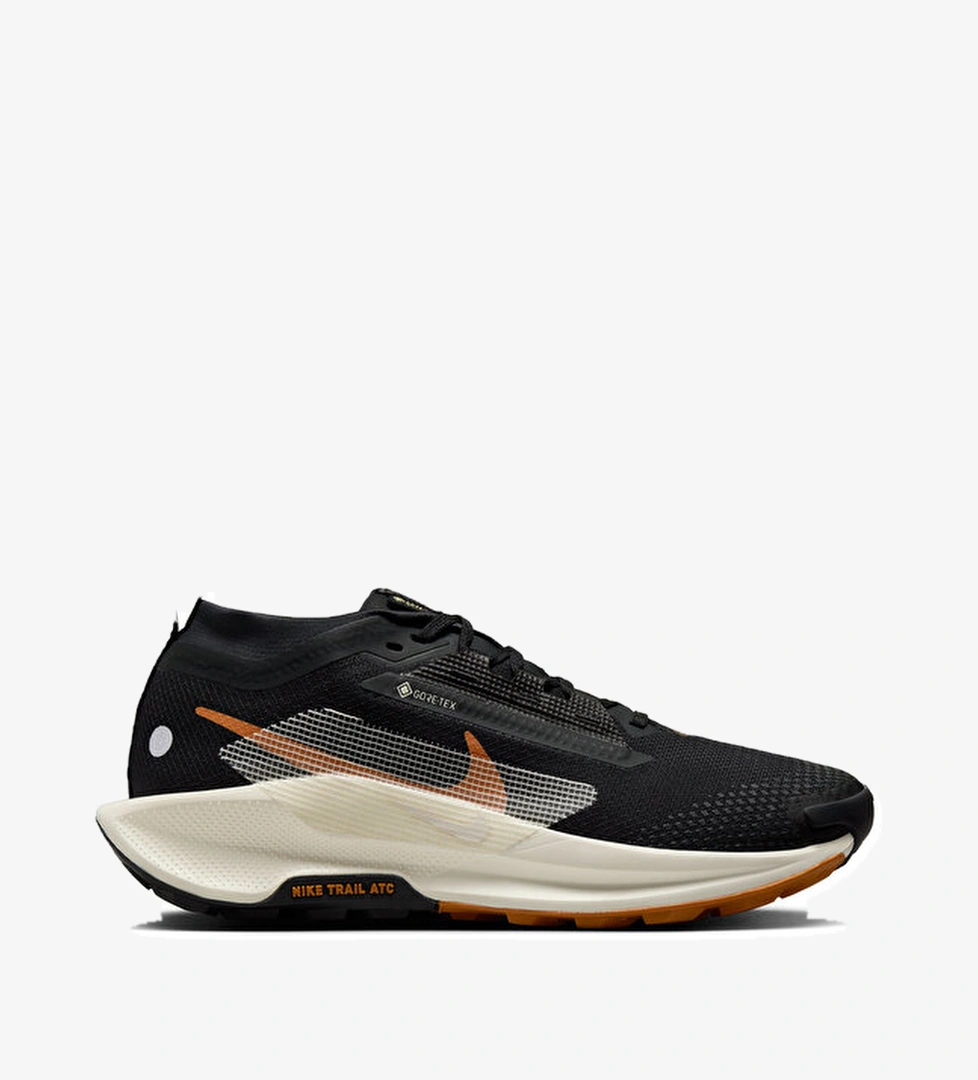 Nike Koşu Ayakkabısı W PEGASUS TRAIL 5 GTX