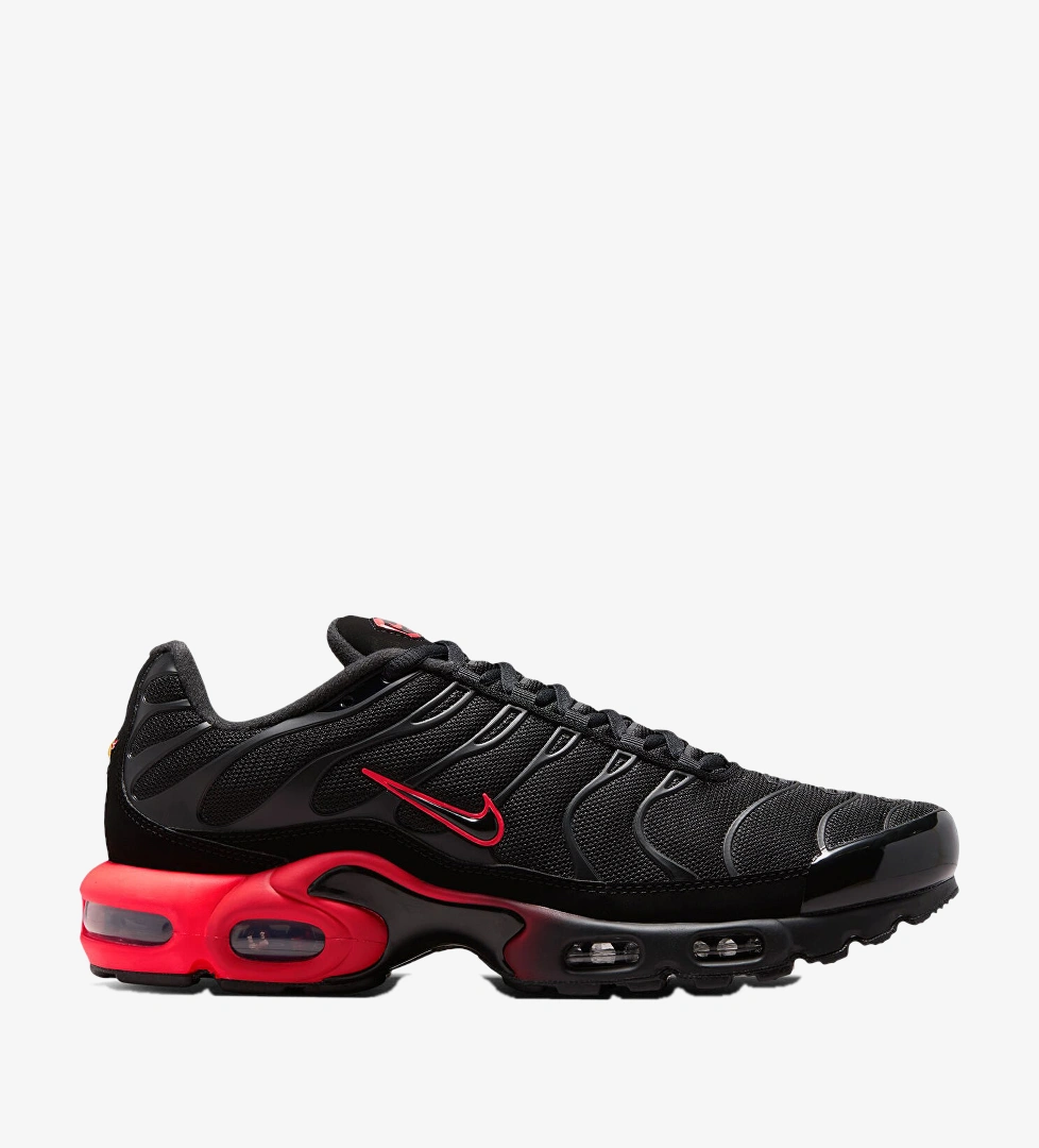 Nike Siyah Nike Air Max Plus