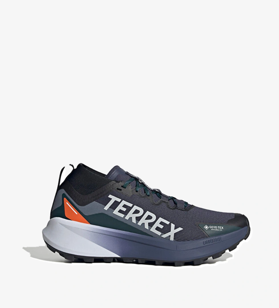 Adidas Adidas Koşu Ayakkabısı Terrex Fw25 Agravic Erkek Gtx Outdoor Ayakkabı model görseli