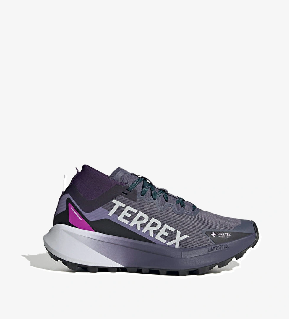 Adidas Koşu Ayakkabısı TERREX AGRAVIC GTX W