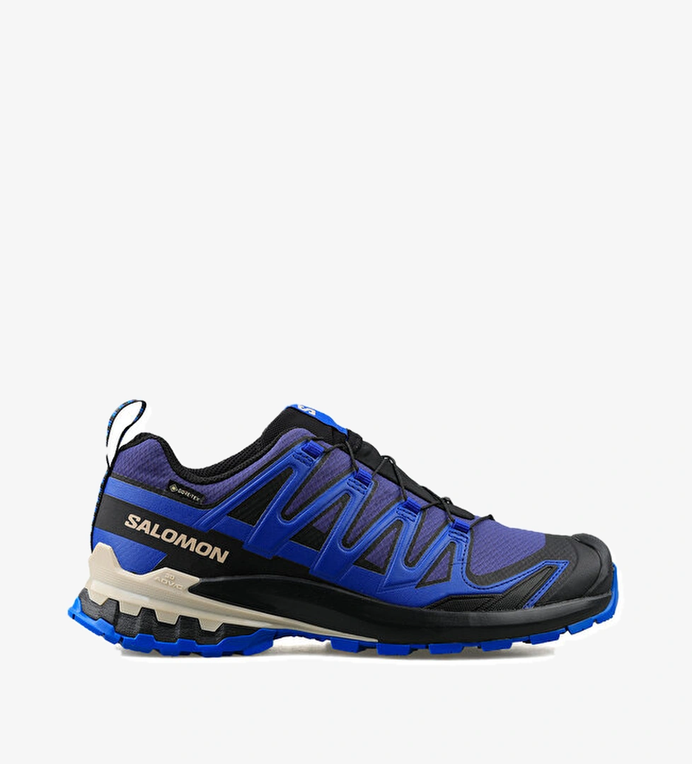 Salomon Ayakkabı Outdoor Ayakkabısı Xa Pro 3D V9 Gtx