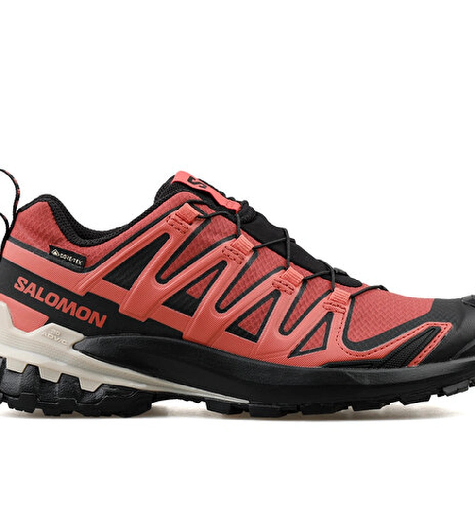 Salomon Ayakkabı Outdoor Ayakkabısı Xa Pro 3D V9 Gtx W - Görsel 1