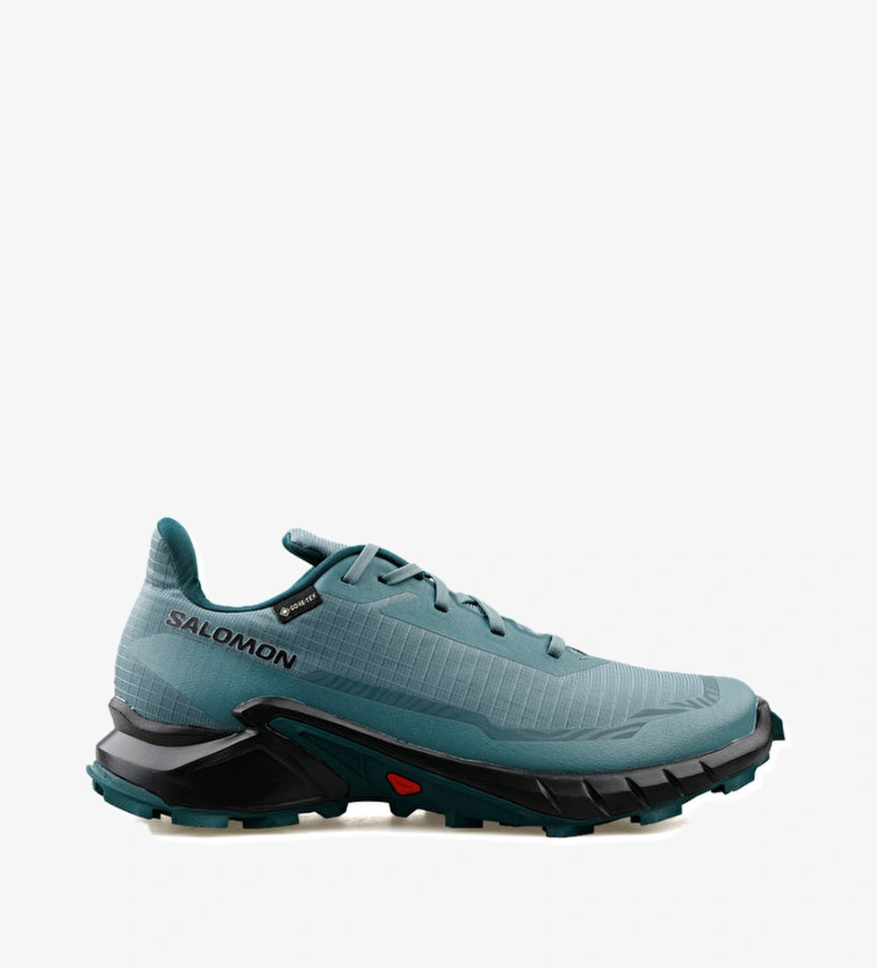 Salomon Salomon Koşu Ayakkabısı Alphacross 5 Gtx model görseli